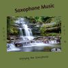 Download track Enjoying The Saxophone, Vol. 6