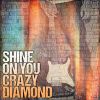 Download track Shine On You Crazy Diamond, Pts. 1 - 5