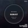 Download track Robust (Original Mix)