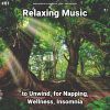 Download track Relaxing Music, Pt. 47