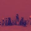 Download track Wondrous Backdrops For Calming Dogs