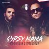 Download track Gypsy Mama (Stephan F Remix)