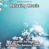 Download track Relaxing Music, Pt. 54