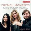 Download track Piano Trio In D Minor, Op. 120: I. Allegro Ma Non Troppo