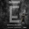 Download track Elegant Darkness (Extended Mix)