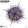 Download track Exodus (Mac And Monday Remix)