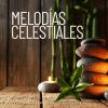 Download track Estrellas Silenciosas