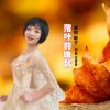 Download track 落叶的晚秋 (伴奏版)