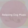 Download track Modish Moods For Serene Puppies