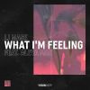 Download track What I'm Feeling