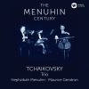 Download track Piano Trio In A Minor, Op. 50: II. Variazione X - Tempo Di Mazurka