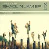 Download track Shaolin Jam (Dub Mix)