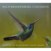 Download track 01 - Brandenburg Concerto No. 1 In F, BWV 1046 I. (Allegro)