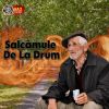 Download track Salcâmule De La Drum