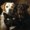 Download track Gentle Pet Harmonies Soothe