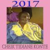 Download track Cheick Tidiane Konte, Pt. 2