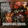 Download track The Decomposition Of A Raped Infant