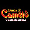 Download track Melô Do Camelô (Instrumental)