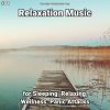 Download track Relaxation Music, Pt. 2