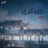 Download track 谁解相思 (伴奏版)