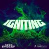 Download track Igniting