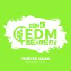 Download track Forever Young (Instrumental Workout Mix 140 Bpm)