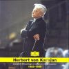 Download track Richard Strauss - Ein Heldenleben Op. 40; Des Helden Gefahrtin
