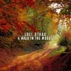 Download track A Walk In The Woods