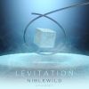 Download track Levitation (Radio Edit)