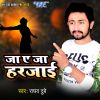 Download track Ja Ae Ja Harjai