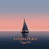 Download track Evening Peace