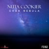 Download track Crab Nebula