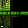 Download track Subtle Soundwaves (Rikk Earth Rework)