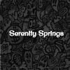 Download track Serenity Springs