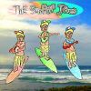 Download track Surf Dude