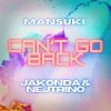 Download track Can't Go Back (Extended Mix)