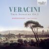 Download track Trio Sonata No. 9 In B-Flat Major, Op. 1 II. Vivace