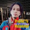 Download track Ya Habibi Ya Muhammad