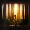 Download track Orange Forest