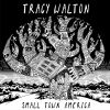 Download track Small Town America