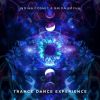 Download track Trance Dance Experience (Radio Edit)