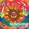 Download track Sunshine (Jose Spinnin Cortes Groove Remix)