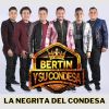 Download track La Negrita Del Condesa