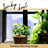 Download track Sunrise Serenity Vibe