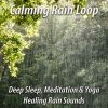 Download track Soothing Rain With Thunder For A Better Sleep