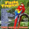 Download track Cumbia Llanera