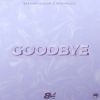 Download track Goodbye (Instrumental)