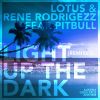 Download track Light Up The Dark (Rodrigo's Festival Edit)