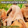 Download track Cavalo Lavandeira