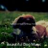 Download track Majestic Ambience For Cute Dogs